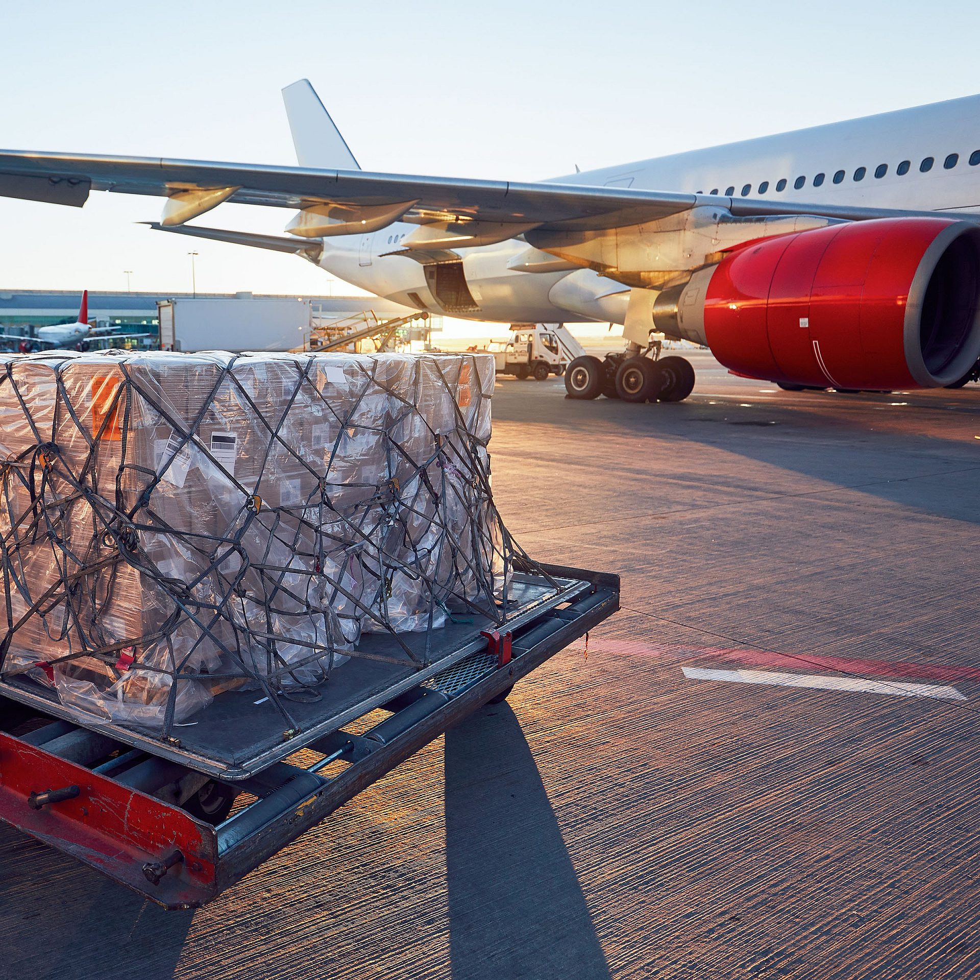 InsTech Netherlands aviation Air cargo solution